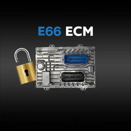 GM E66 ECM Service (Global B)